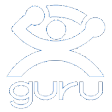 Guru Top Development Company